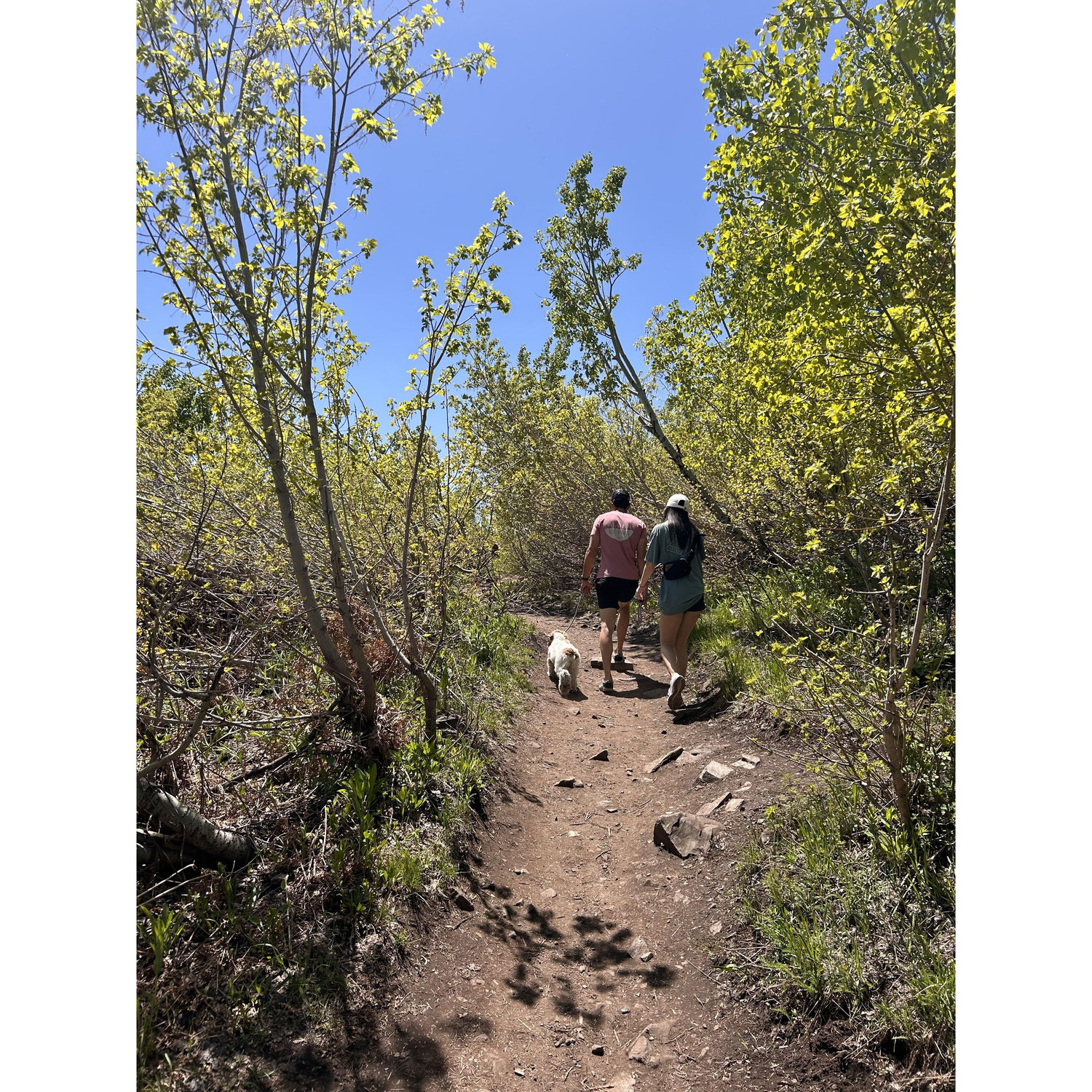 Stewart Falls Hike