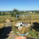 Tug Hill Vineyards