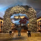 Wonders Of Wildlife National Museum & Aquarium