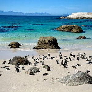 Our South Africa Honeymoon