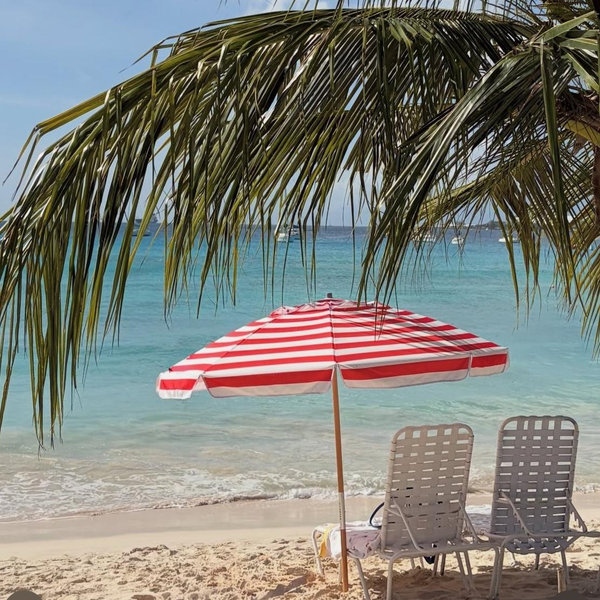 🏝️ Honeymoon Fund 🏝️
