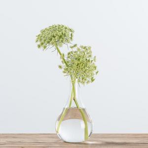 Lab Bud Vase
