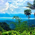 El Yunque National Forest