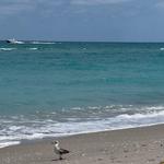 Juno Beach Pier
