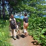 Mackworth Island