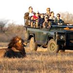 Big 5 Safari in Aquila Private Game Reserve