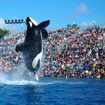 SeaWorld Orlando