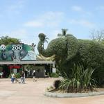 San Diego Zoo