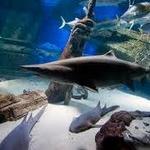 Long Island Aquarium