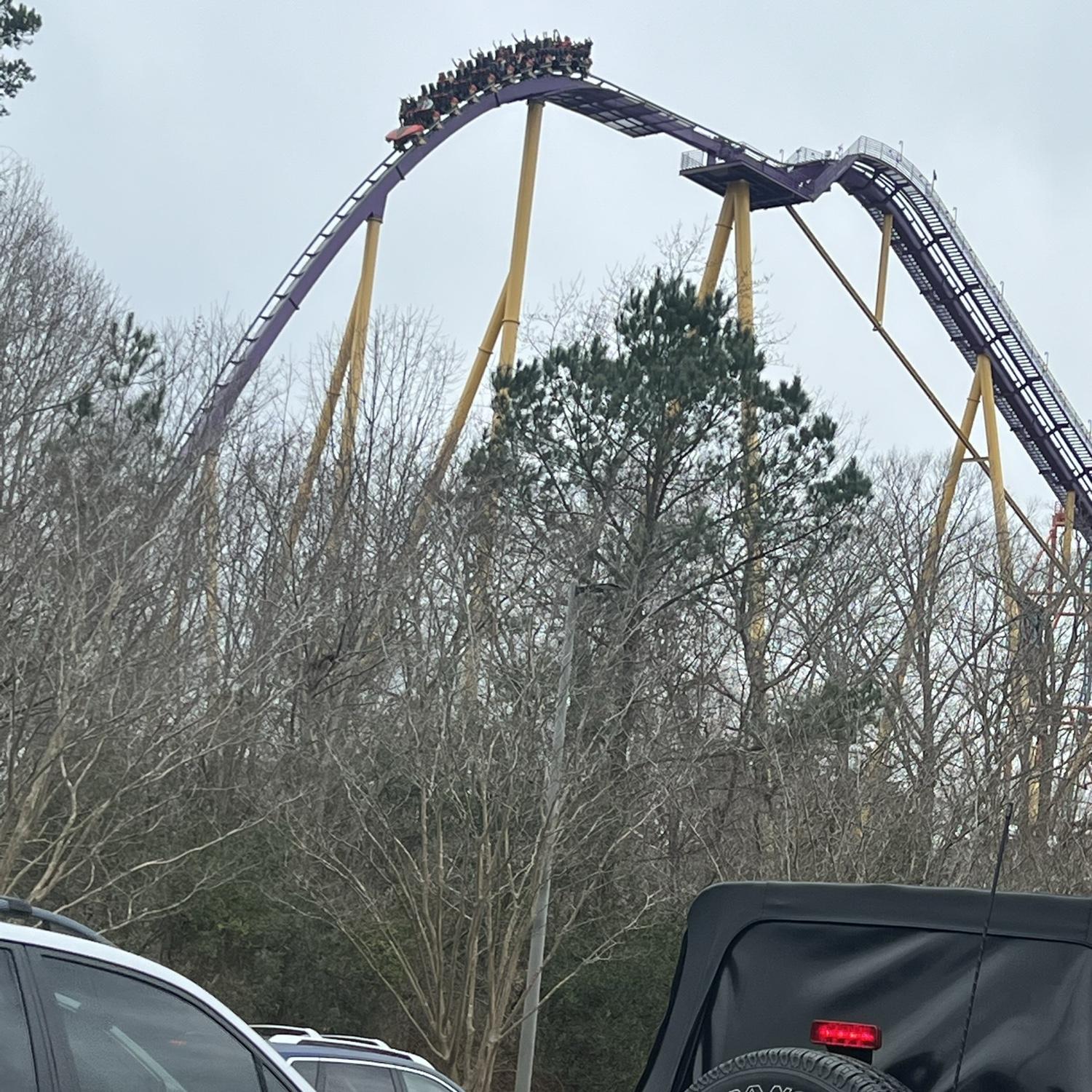 Bush Gardens amusement park, from our va trip. This is the ride Robert proposed on, right at the top.