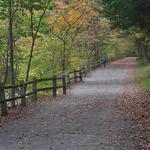 HIKES/RUNS/WALKS: Wissahickon Valley Park