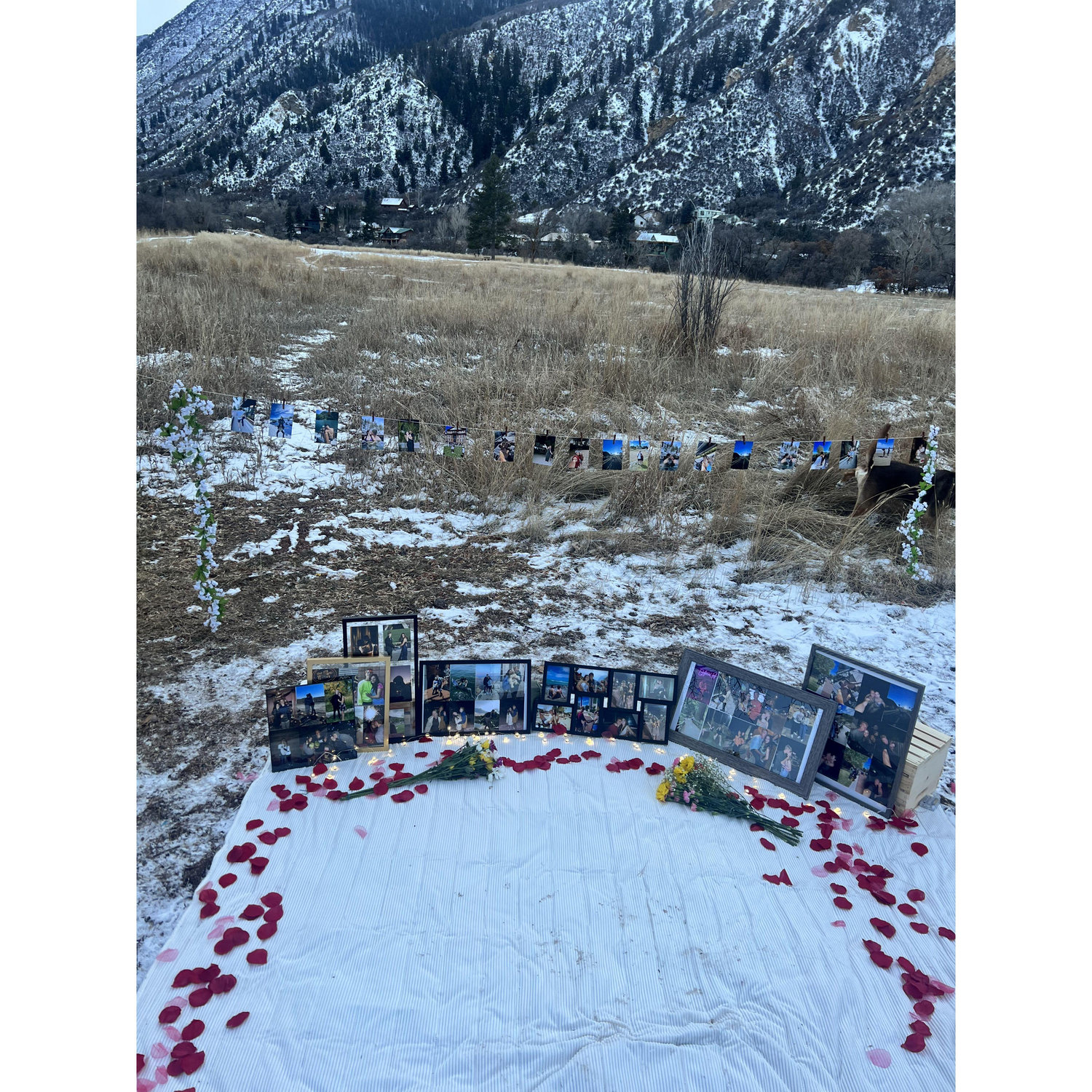 Engagement Proposal Set up!