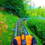 Smoky Mountain Alpine Coaster