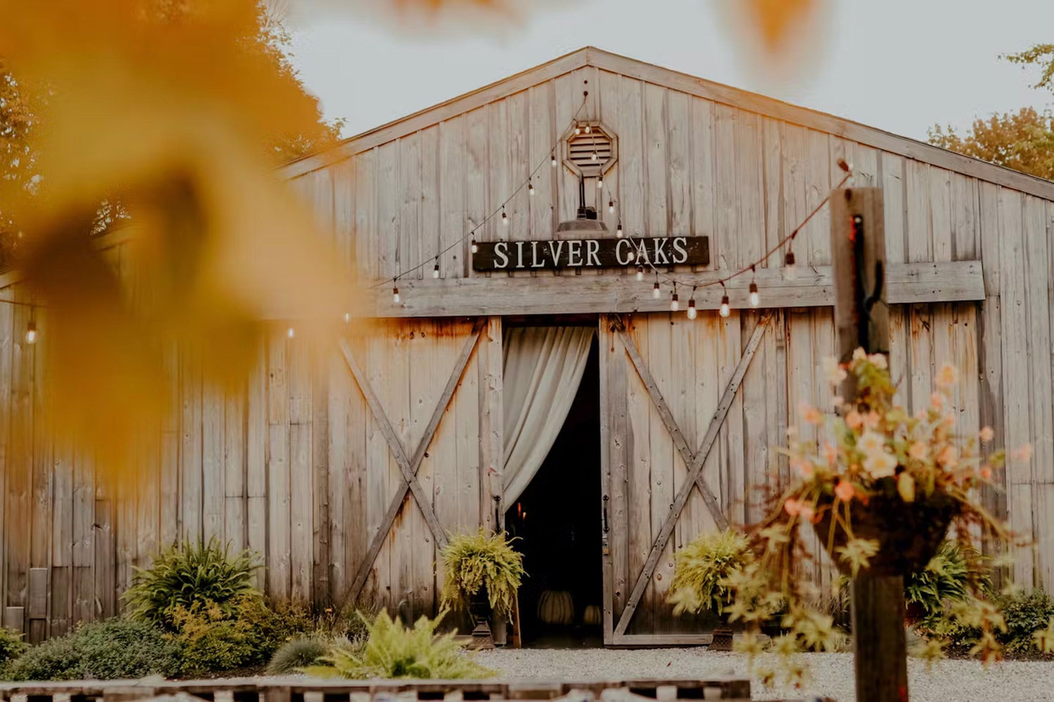 The Wedding Website of Lynne Carty and Dan Tuttle