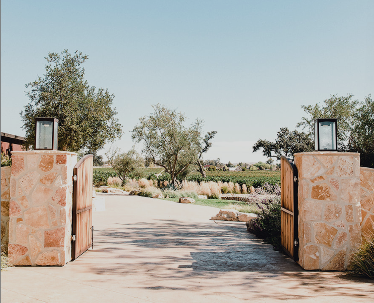 The Wedding Website of Emily Patterson and Miles Yourman