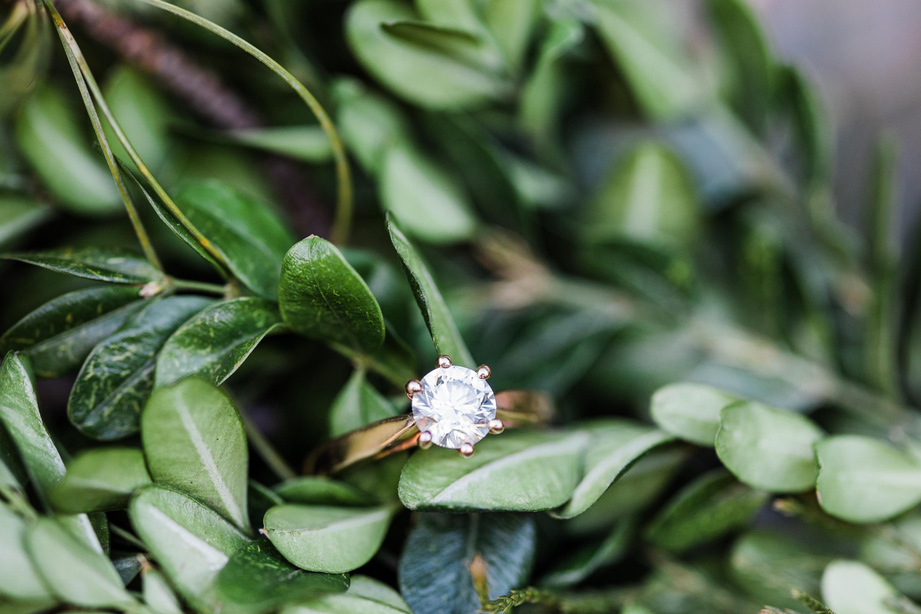 The Wedding Website of Jeremy Dart and Christine Bierema