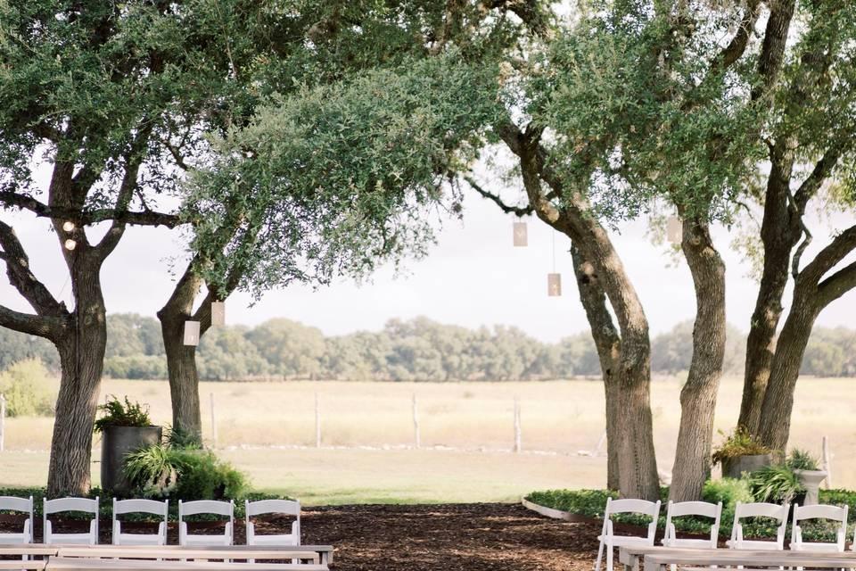 The Wedding Website of Chelsea Tyson and Allen Fernandes