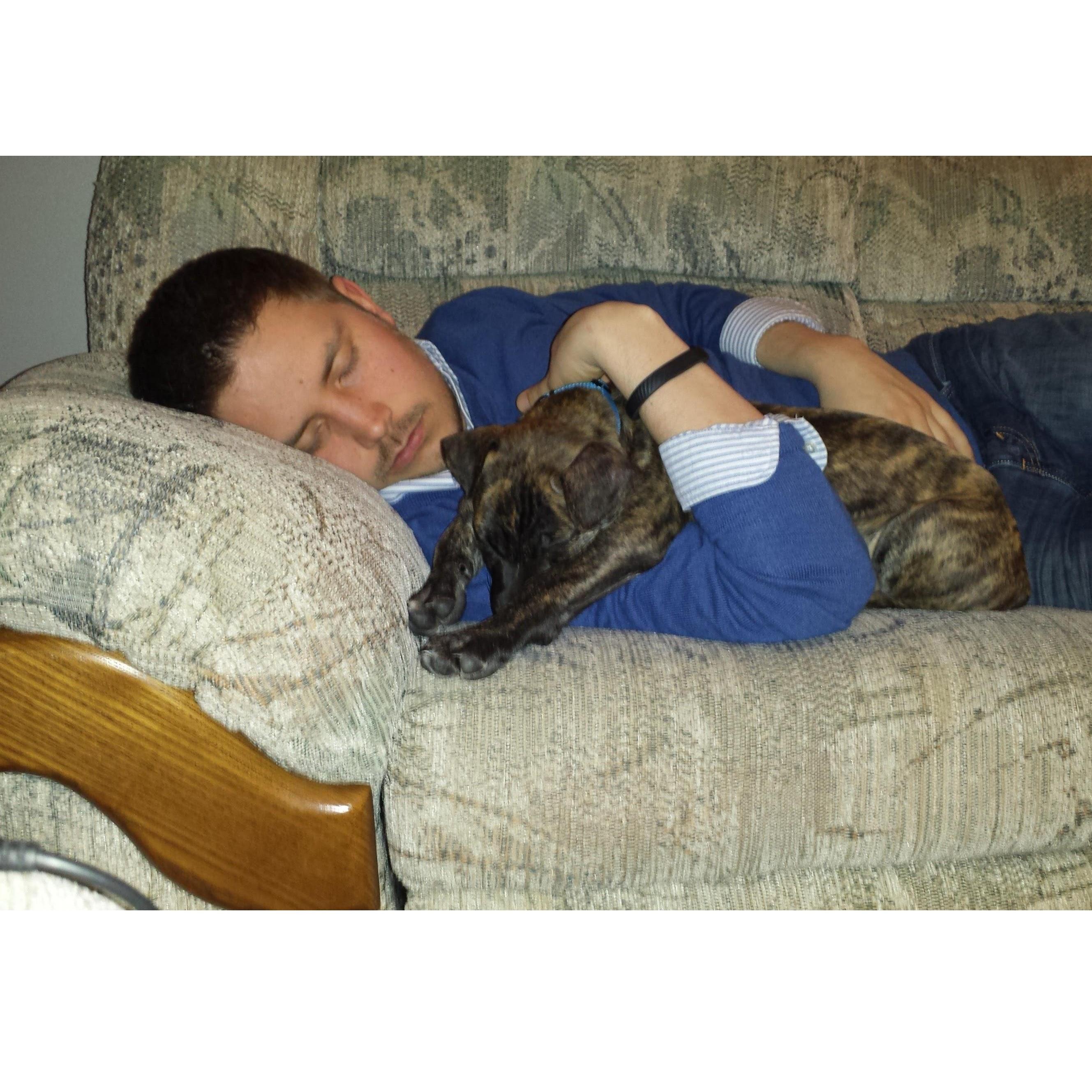 Jon and Skye taking a nap. (Skye was not supposed to be allowed on furniture, see how well that went)
