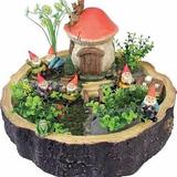 Gnome Village
