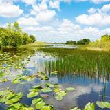 Everglades National Park