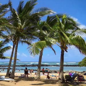 Kauai Hop On Hop Off Tour (Honeymoon Excursion for 2)