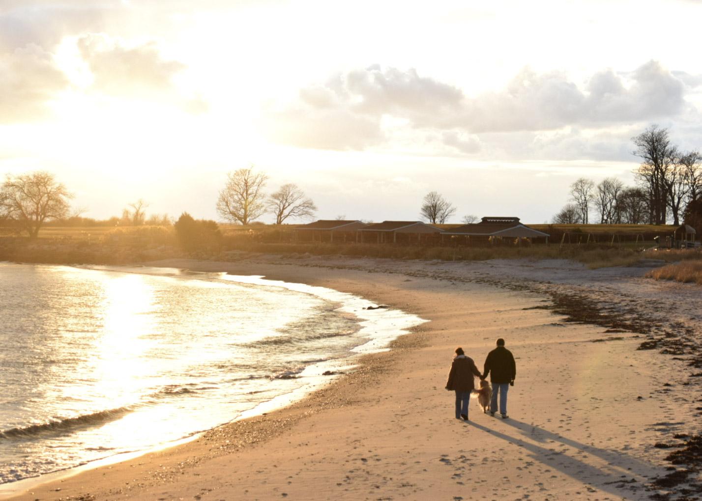 The Wedding Website of Anya Duarte and Liam Fogarty