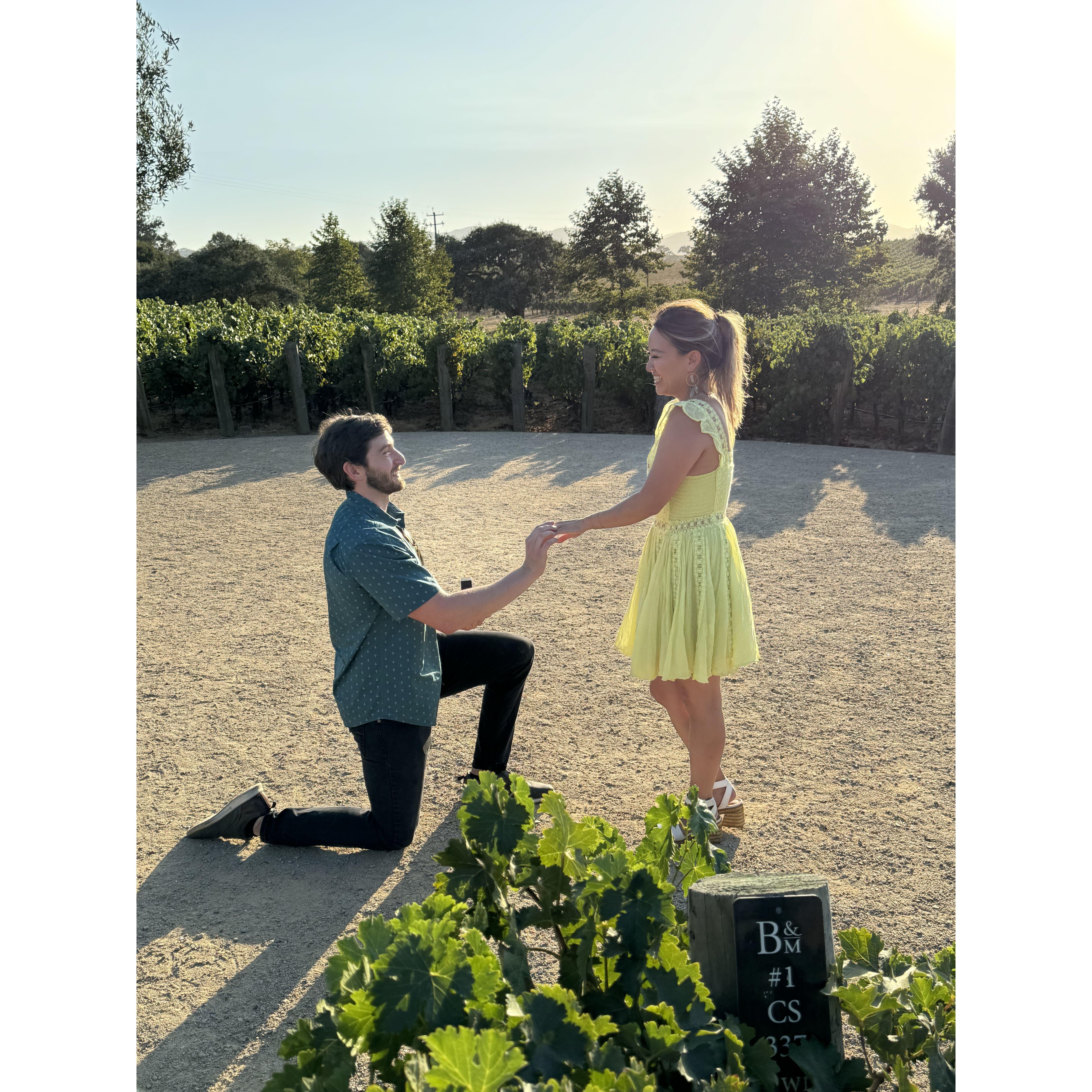 Michelle said yes at Brave & Maiden in Santa Barbara wine country! If this photo had sound, you would hear Ollie barking in the background.