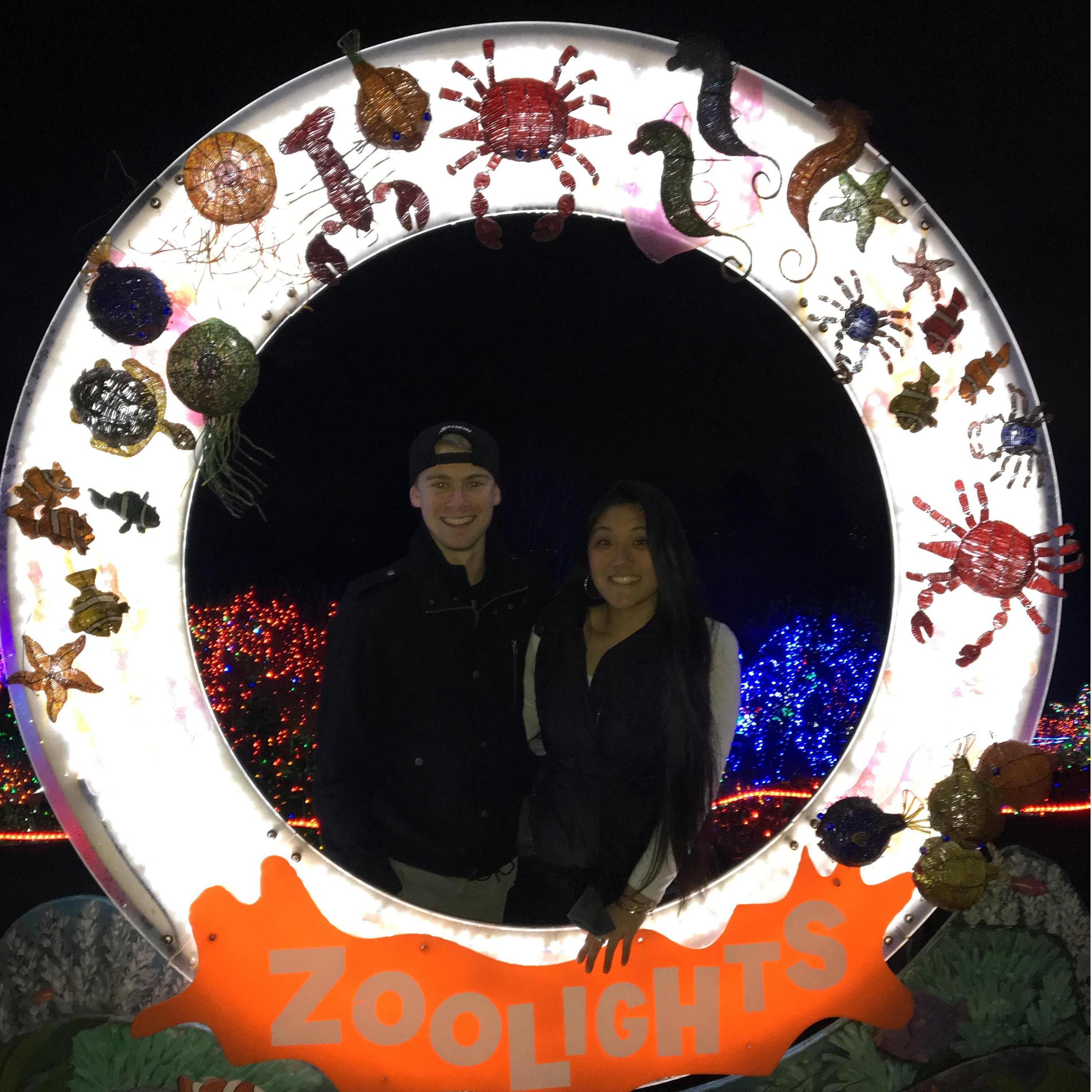 Lions and Tigers and Bears and Christmas Lights... OH MY!