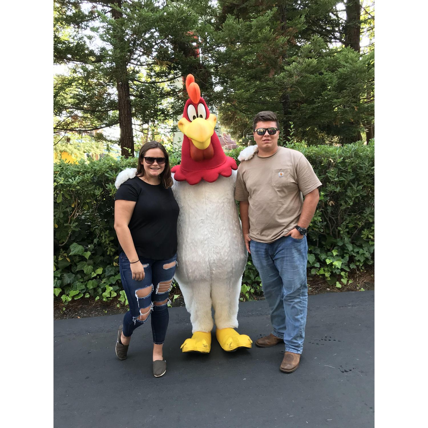 Six Flags