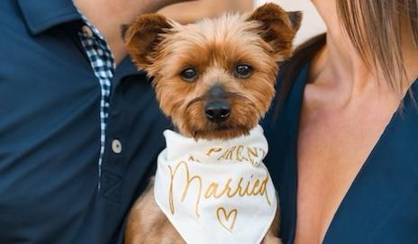 The Wedding Website of Morgan Hawley and Brandon Weiss