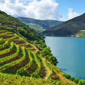 Duoro Valley Boat Tour