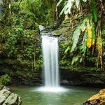 El Yunque National Rainforest