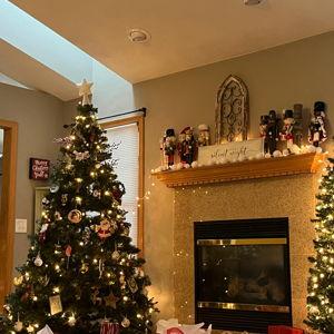 Christmas Tree fund