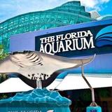 The Florida Aquarium