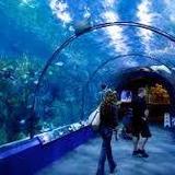 Audubon Aquarium of the Americas