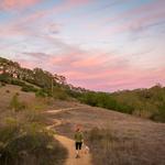Healdsburg Ridge Open Space Preserve