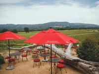 RIVINO Winery