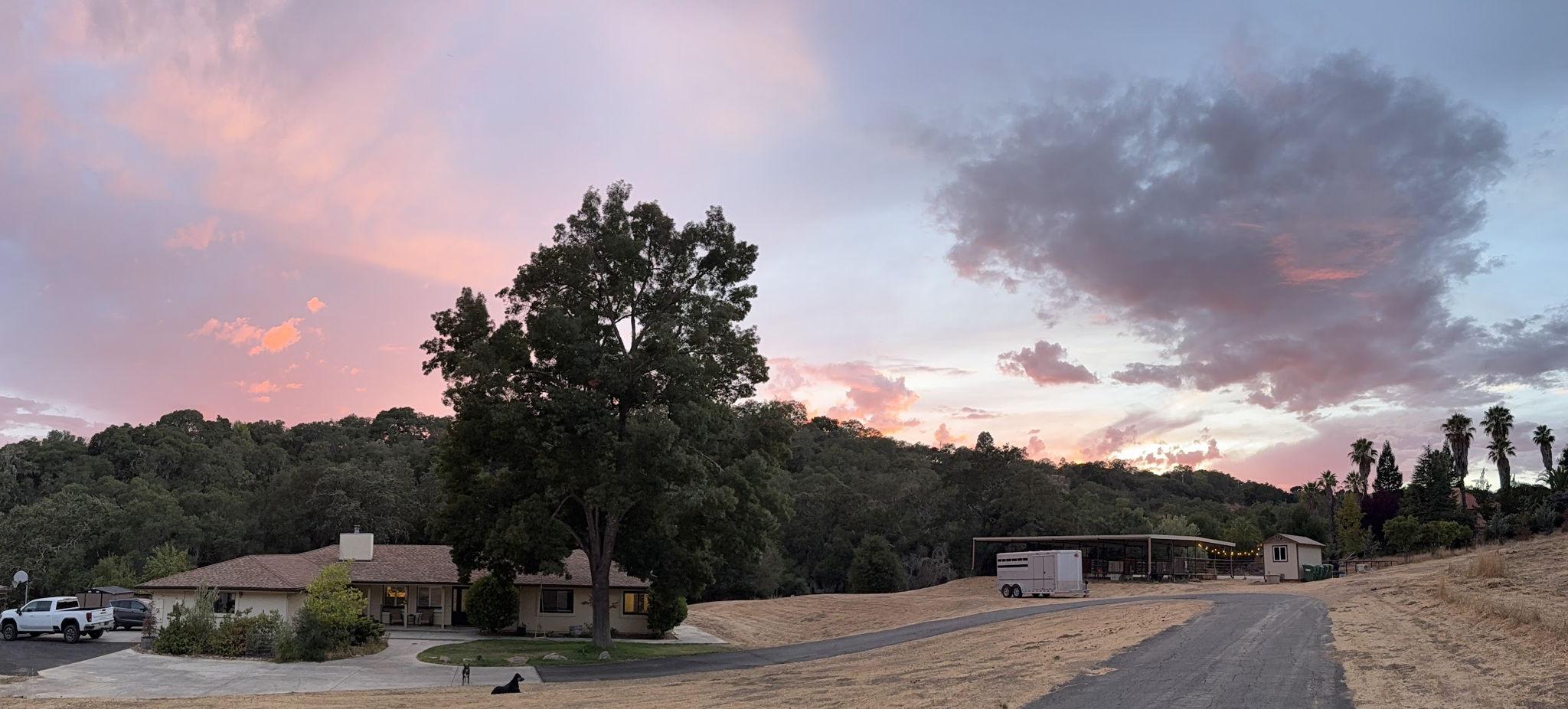 The Wedding Website of Emily Robertson and Shelby Williams