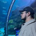 Loveland Living Planet Aquarium