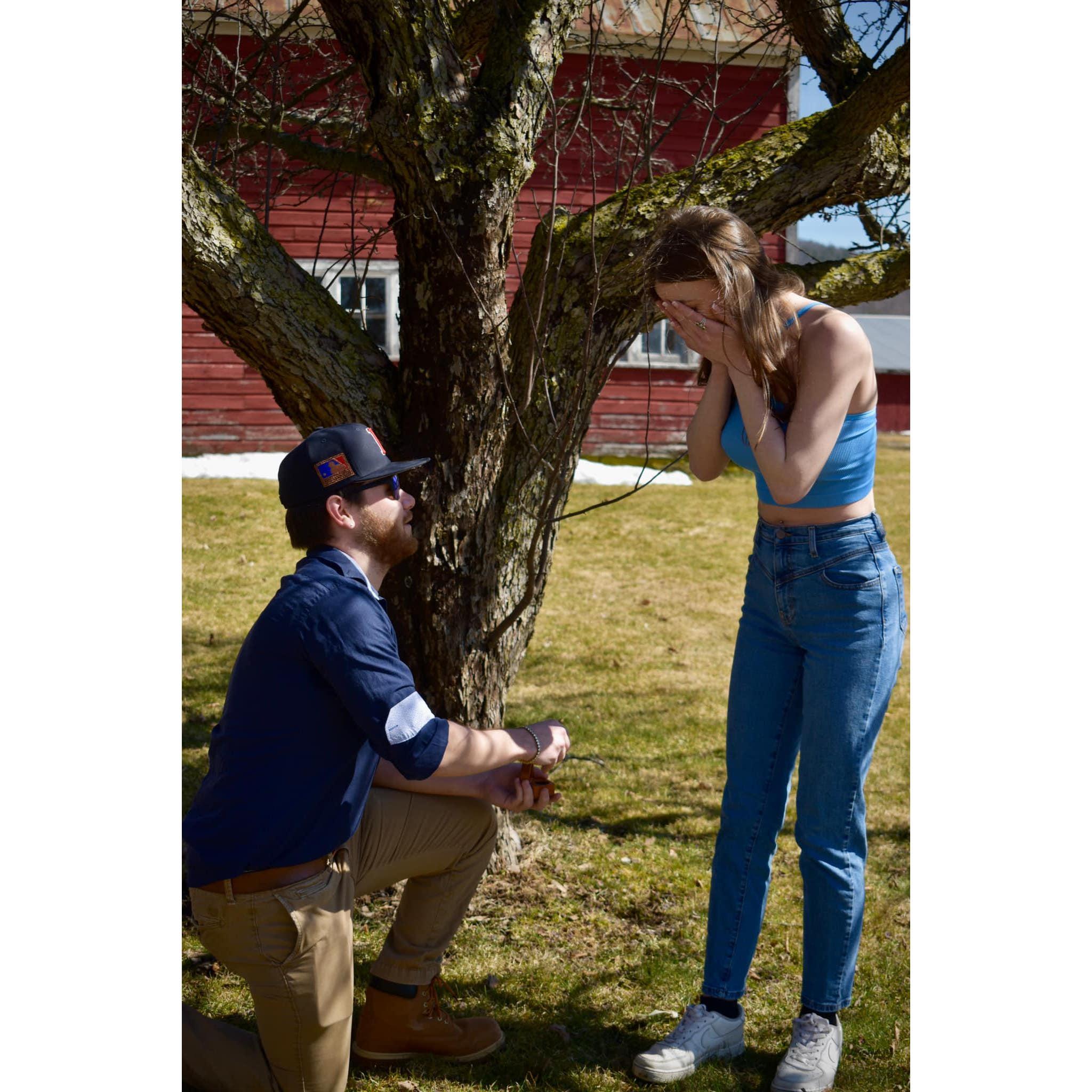 The day I said "yes!!!"