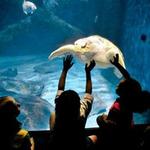 Virginia Aquarium & Marine Science Center