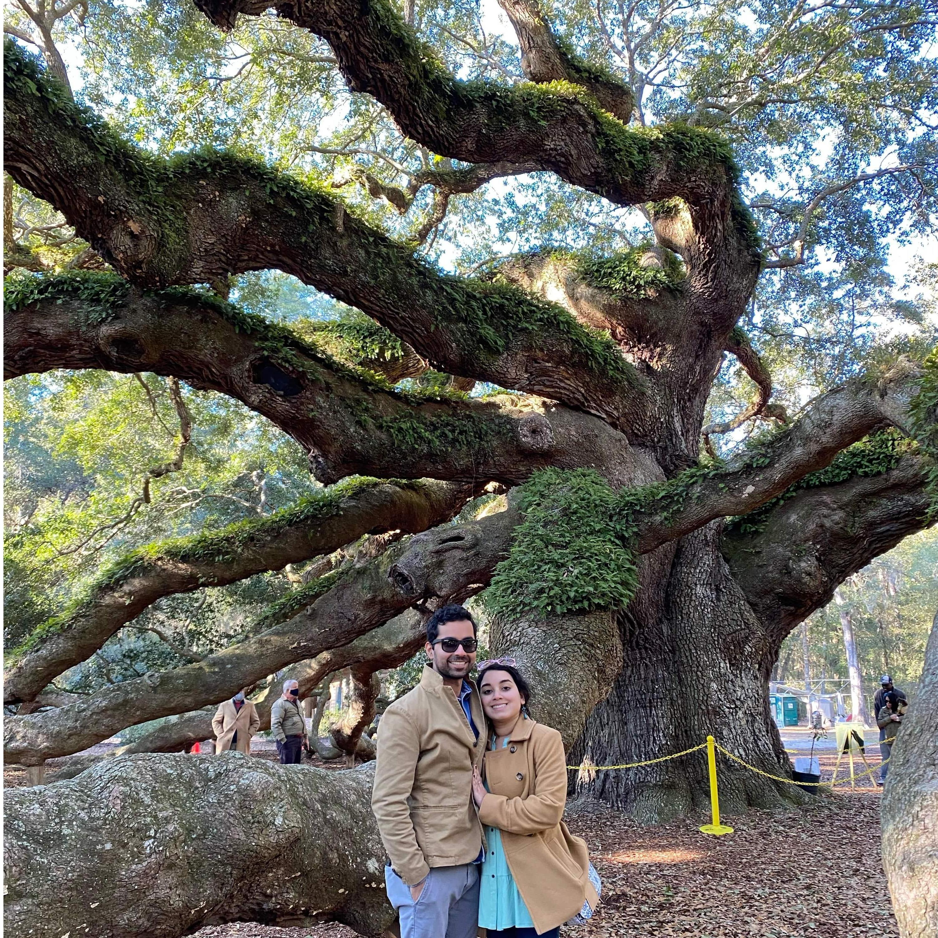 Together under the 400-year-old Angel Oak Tree, we found shelter (Jan 2022)