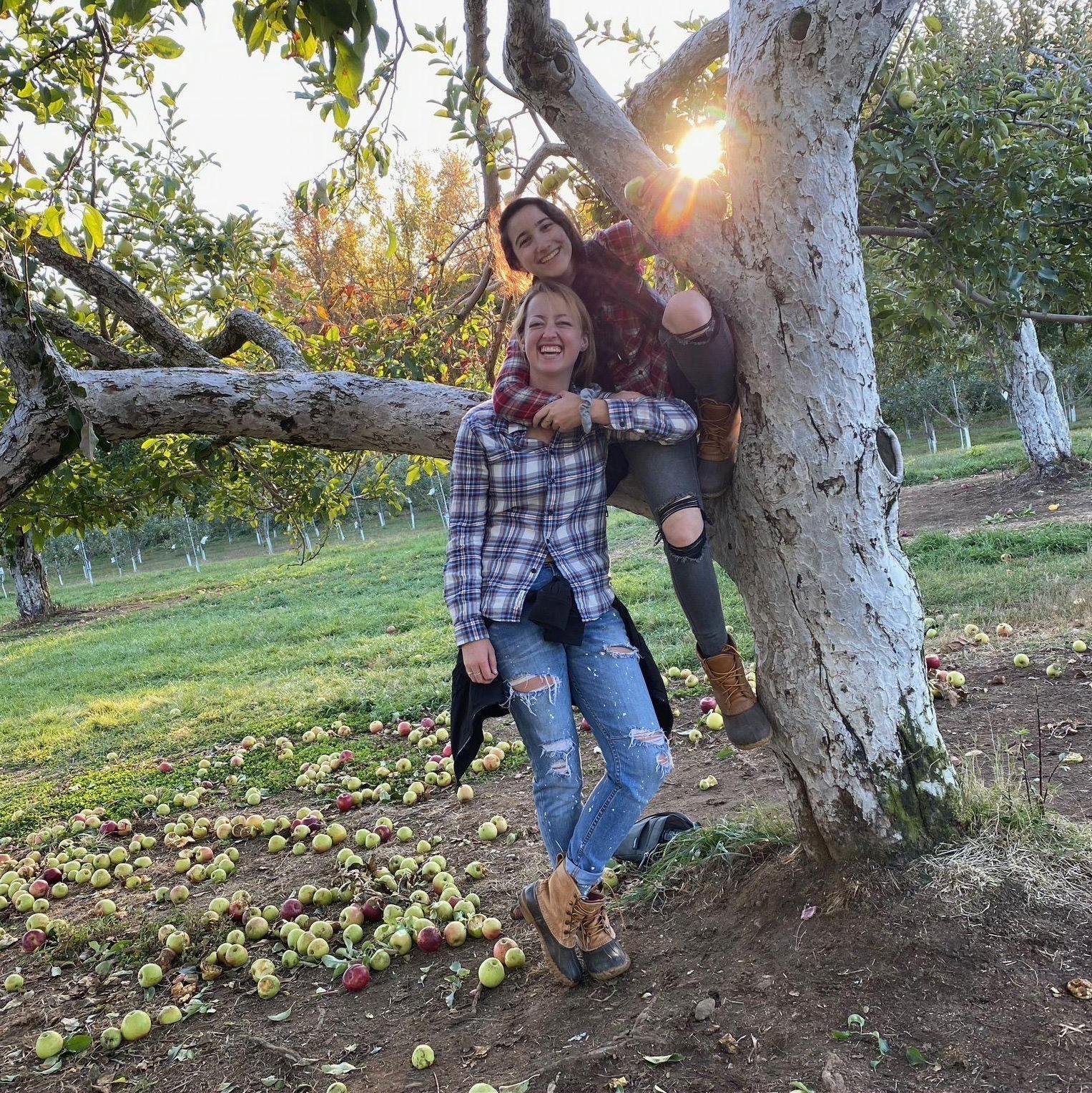 Apple picking