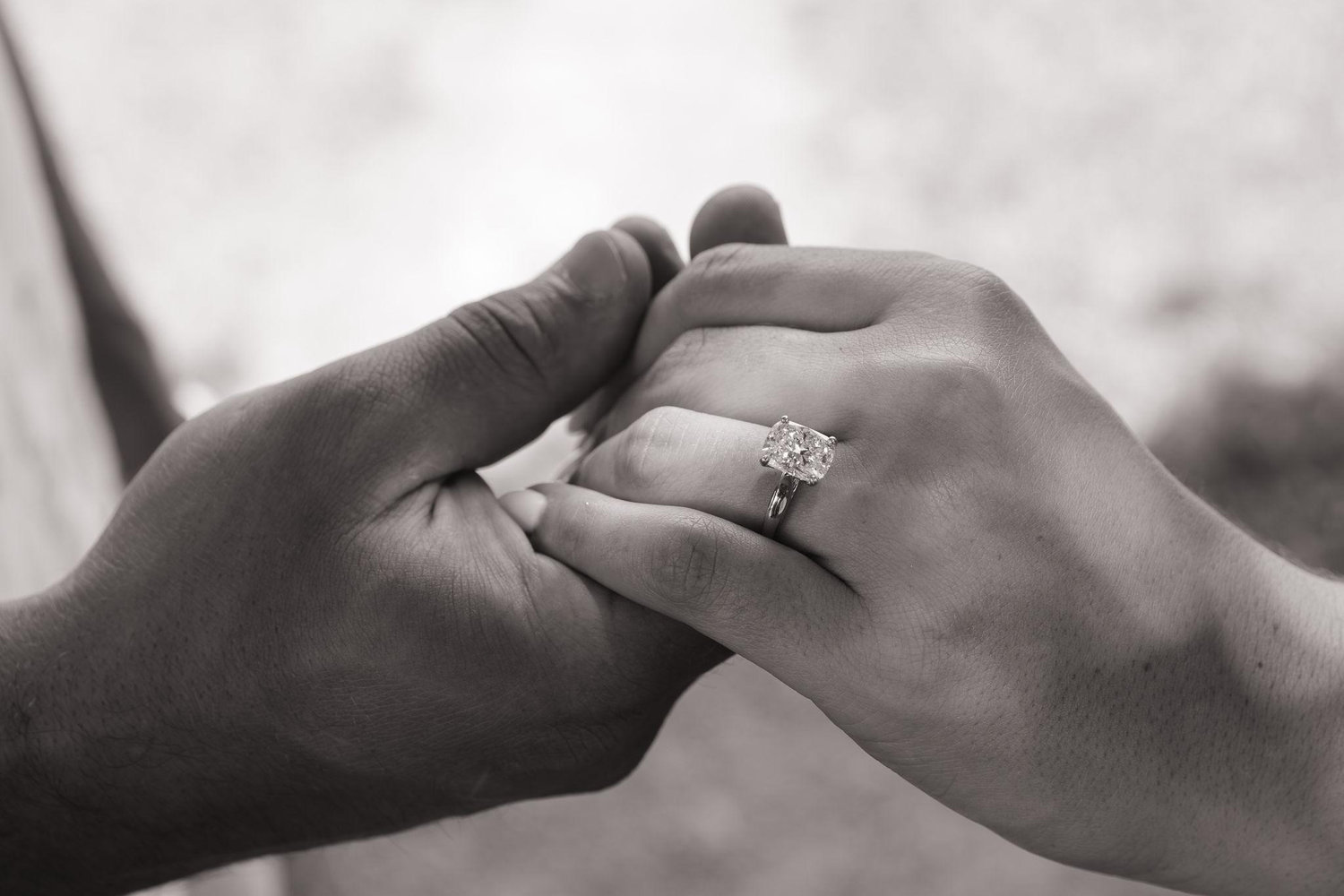 The Wedding Website of Rachel D'Agostino and Christopher Stoneburner