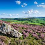 North York Moors National Park