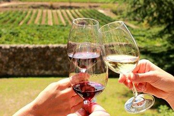 South African Half Day Wine Tour