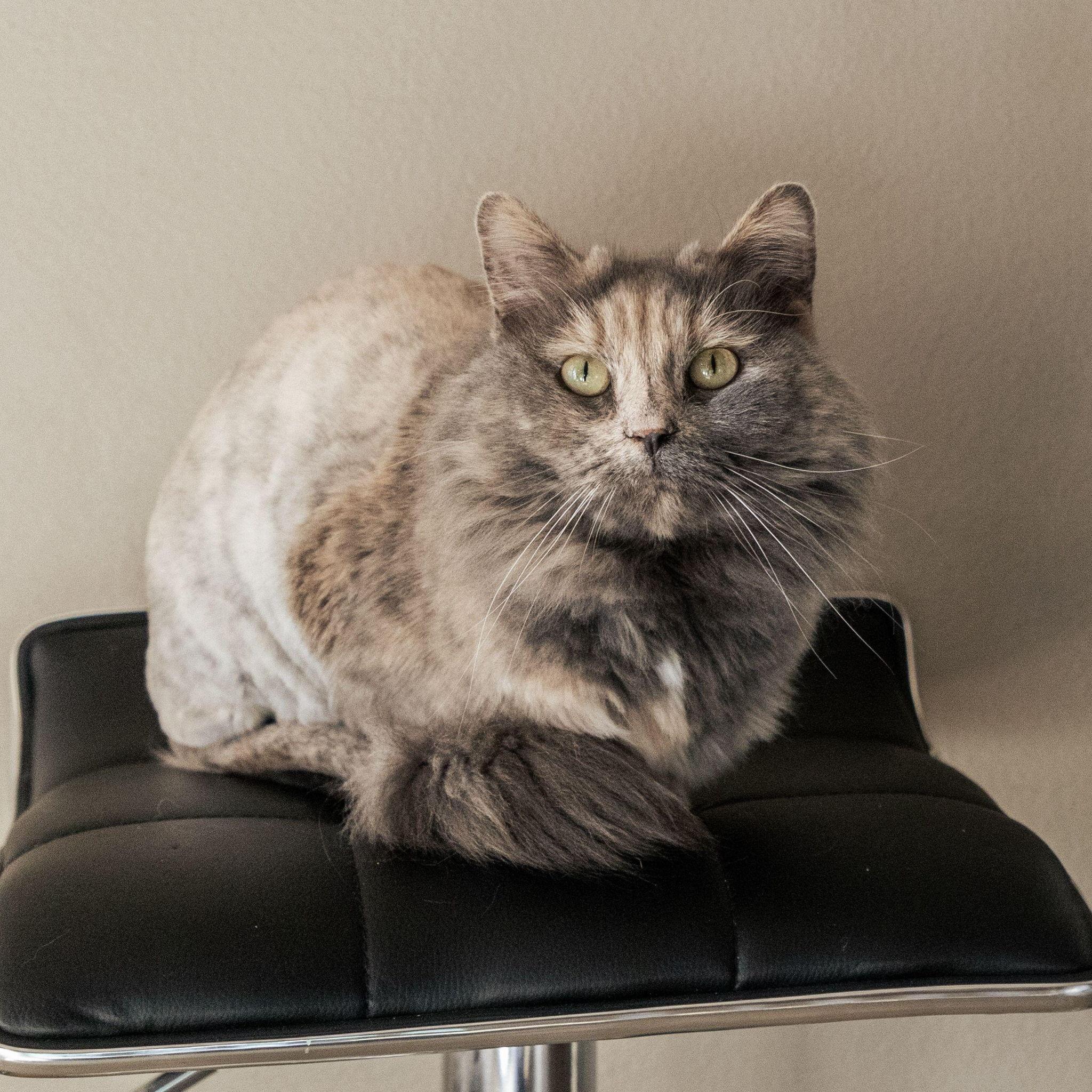 Scully and Mulder, our biggest fans