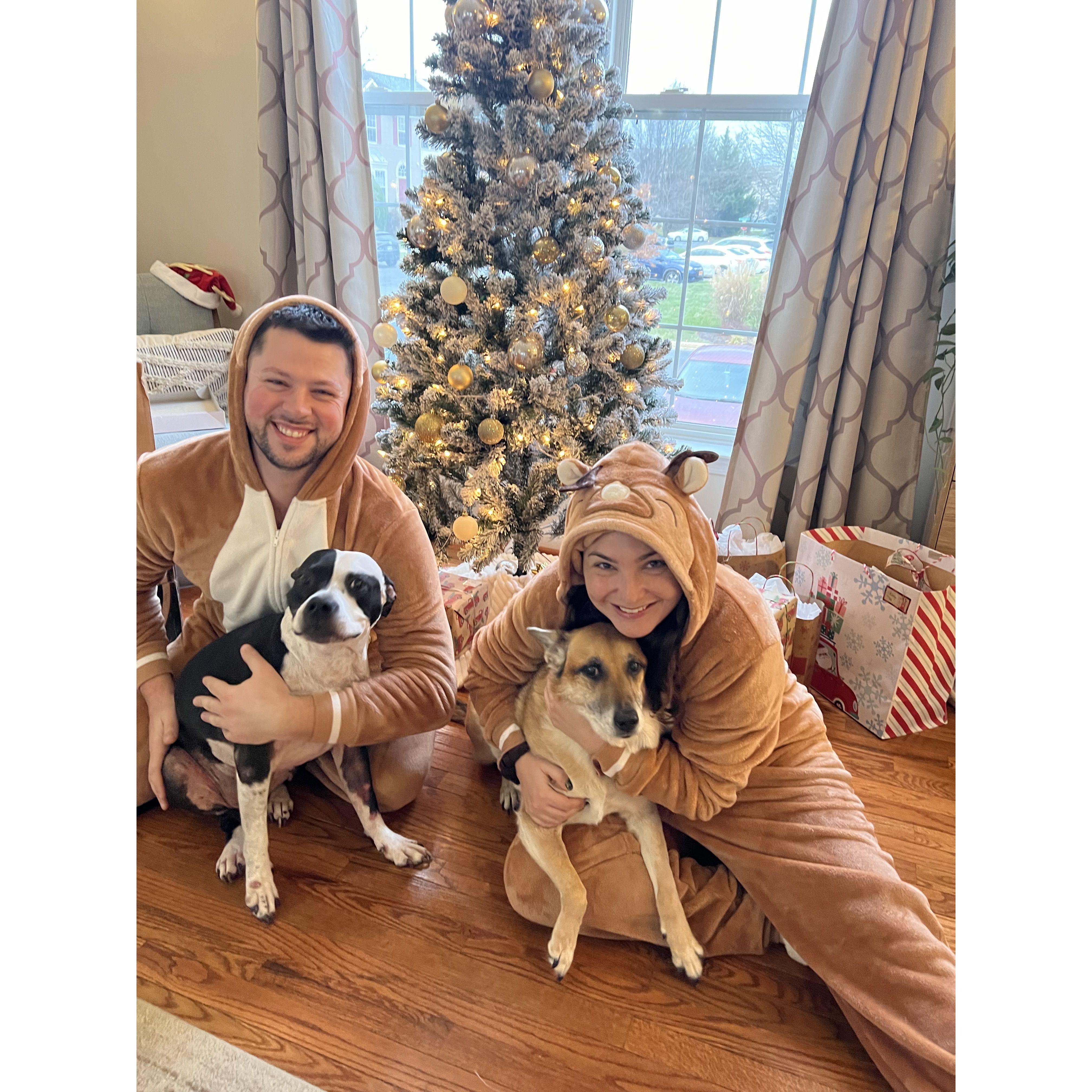 Merry Christmas from the Keller-Conte pack!