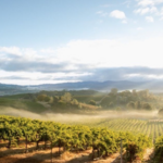 Sonoma County