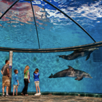 Indianapolis Zoo